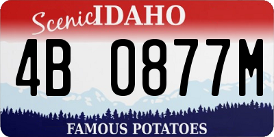 ID license plate 4B0877M