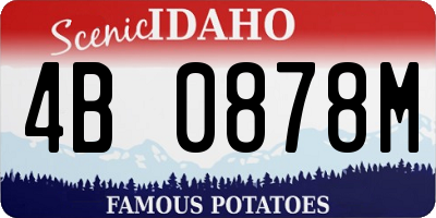 ID license plate 4B0878M