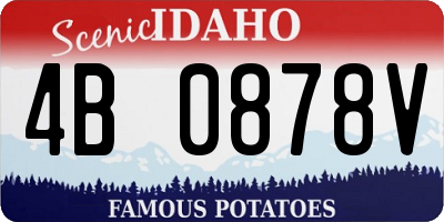 ID license plate 4B0878V