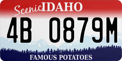 ID license plate 4B0879M