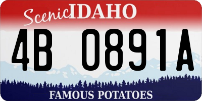ID license plate 4B0891A