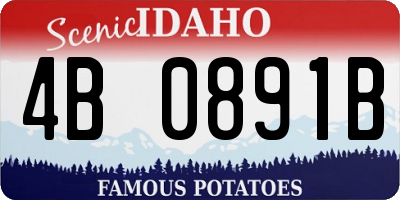 ID license plate 4B0891B