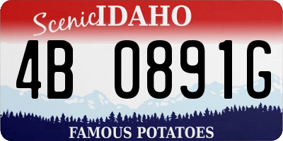 ID license plate 4B0891G