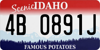 ID license plate 4B0891J