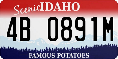 ID license plate 4B0891M