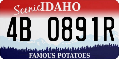 ID license plate 4B0891R