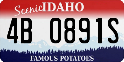 ID license plate 4B0891S