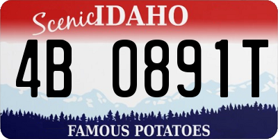 ID license plate 4B0891T