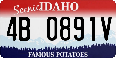 ID license plate 4B0891V
