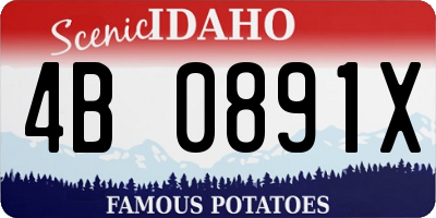 ID license plate 4B0891X