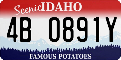 ID license plate 4B0891Y