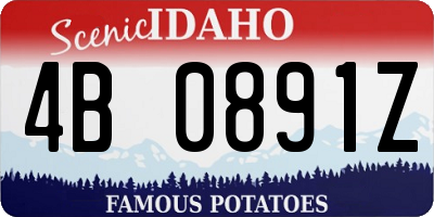 ID license plate 4B0891Z