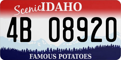 ID license plate 4B0892O