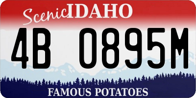 ID license plate 4B0895M