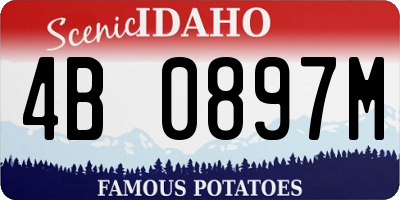ID license plate 4B0897M