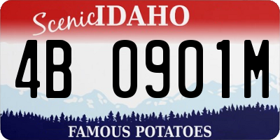 ID license plate 4B0901M