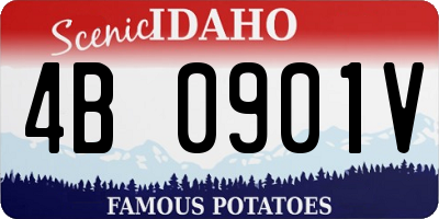 ID license plate 4B0901V
