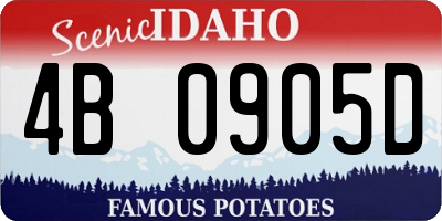ID license plate 4B0905D
