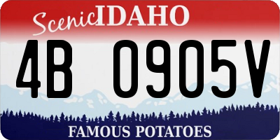 ID license plate 4B0905V