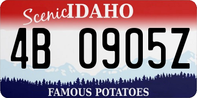 ID license plate 4B0905Z