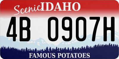 ID license plate 4B0907H