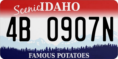 ID license plate 4B0907N