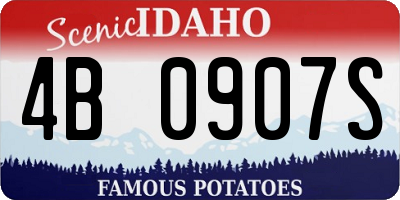 ID license plate 4B0907S