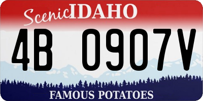 ID license plate 4B0907V