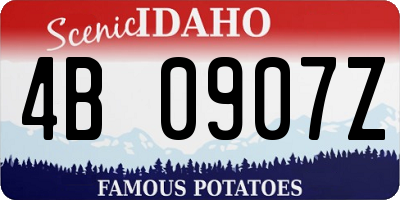 ID license plate 4B0907Z
