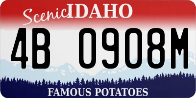 ID license plate 4B0908M