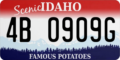 ID license plate 4B0909G