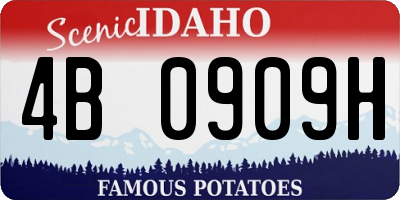 ID license plate 4B0909H