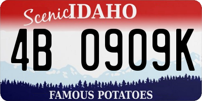 ID license plate 4B0909K
