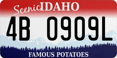 ID license plate 4B0909L
