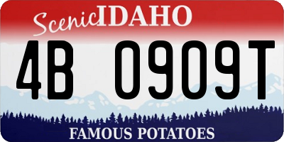ID license plate 4B0909T