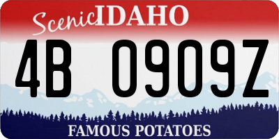 ID license plate 4B0909Z
