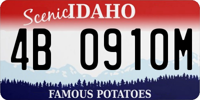 ID license plate 4B0910M