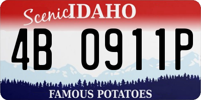 ID license plate 4B0911P