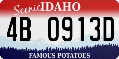 ID license plate 4B0913D