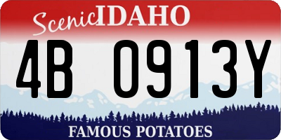 ID license plate 4B0913Y
