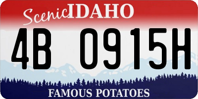 ID license plate 4B0915H