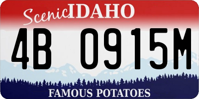 ID license plate 4B0915M