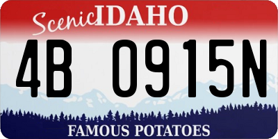 ID license plate 4B0915N