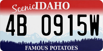 ID license plate 4B0915W