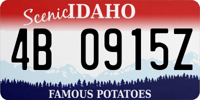 ID license plate 4B0915Z