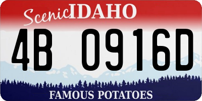 ID license plate 4B0916D