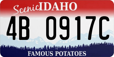 ID license plate 4B0917C