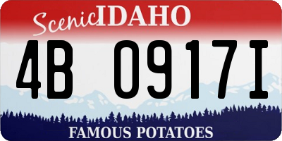 ID license plate 4B0917I