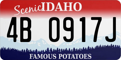 ID license plate 4B0917J
