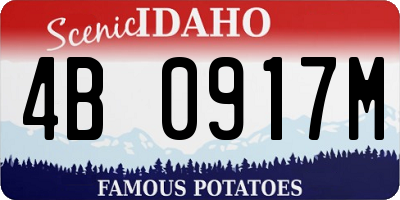 ID license plate 4B0917M